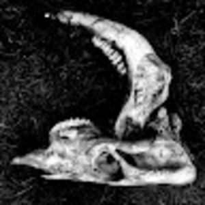 Meet your Posher, C solomon